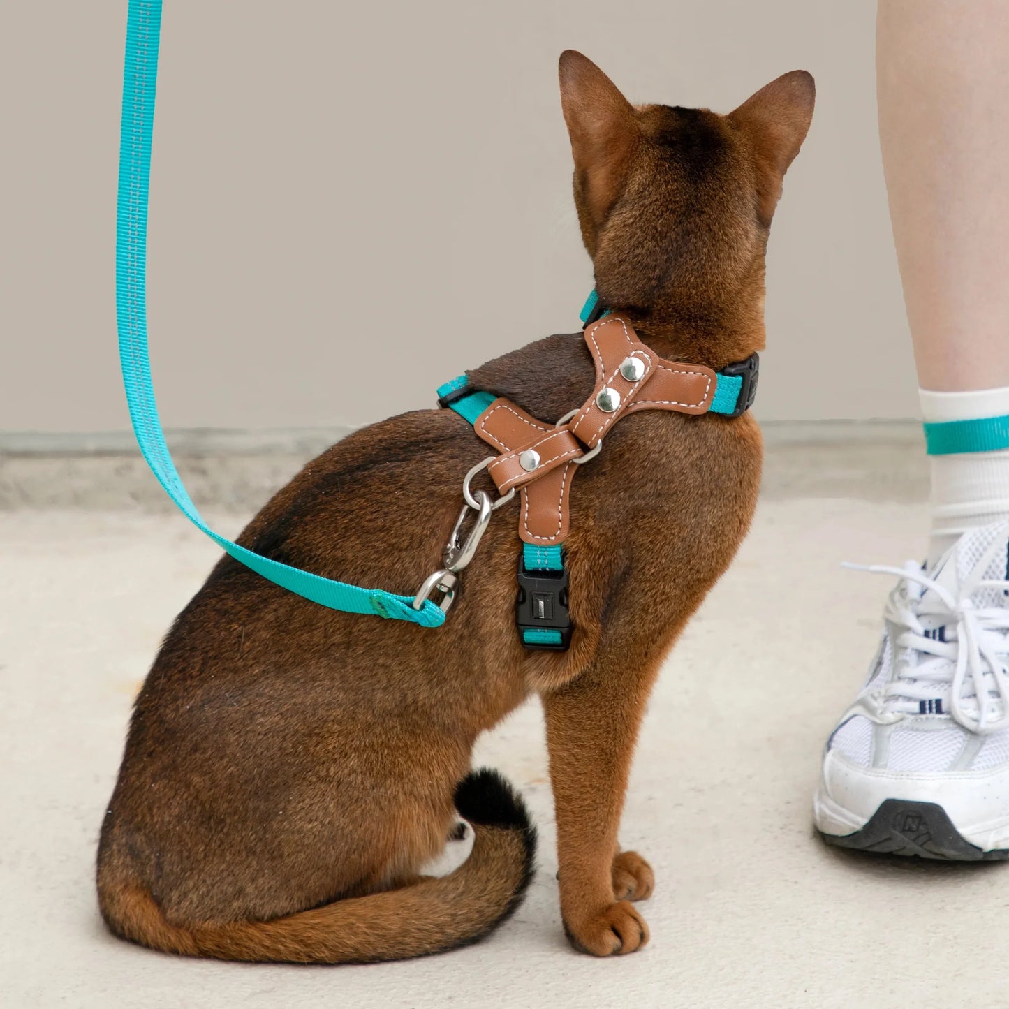 Adjustable Cat Harness & Leash Kit