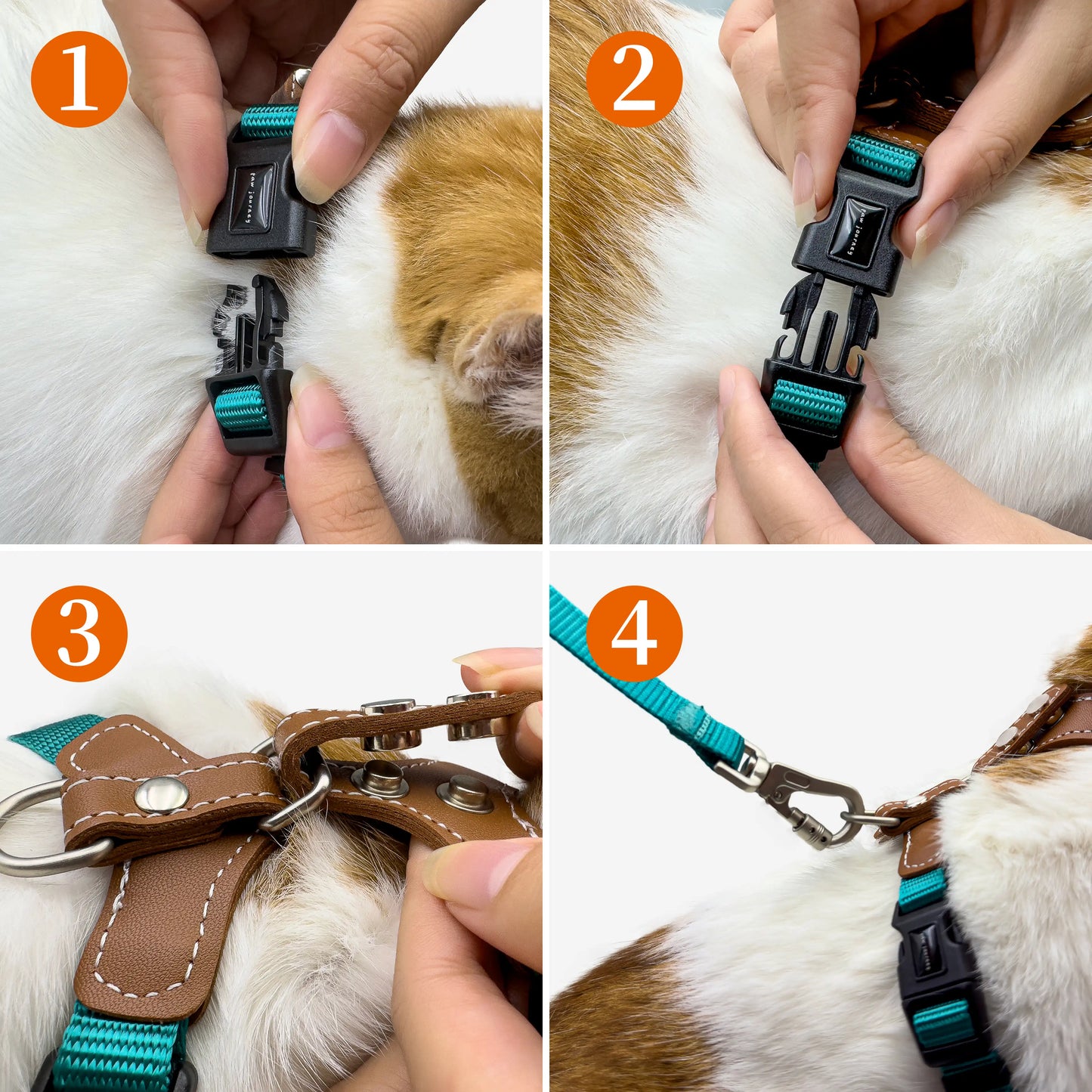 Adjustable Cat Harness & Leash Kit