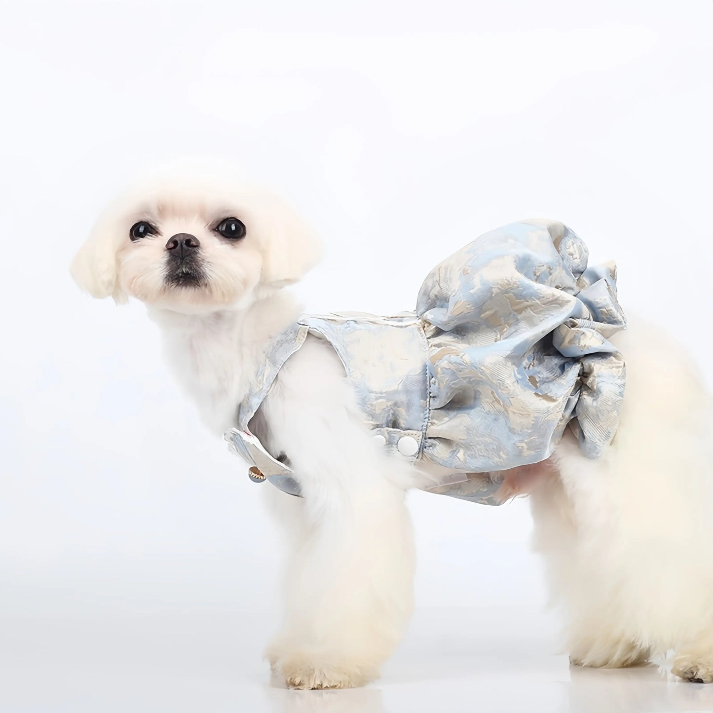 Ballet Floral Bud Pet Dress