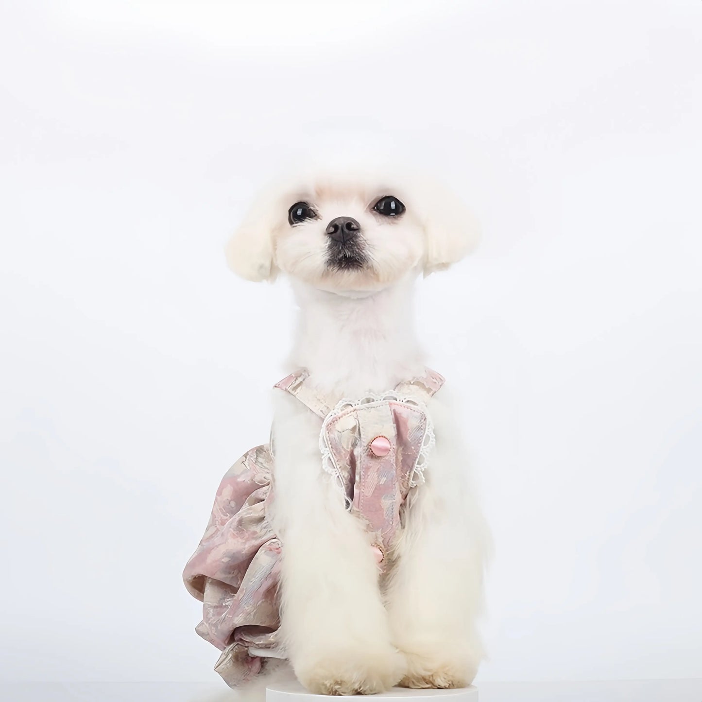 Ballet Floral Bud Pet Dress