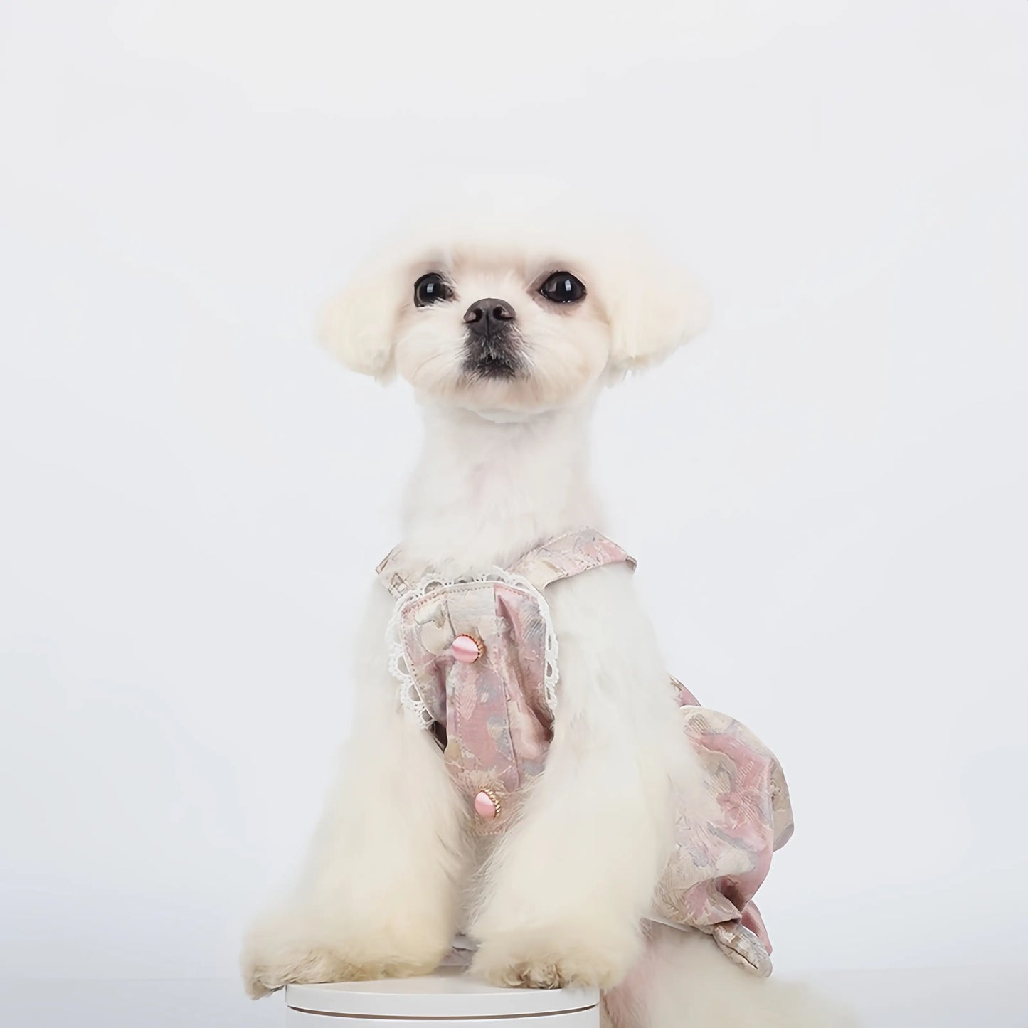 Ballet Floral Bud Pet Dress