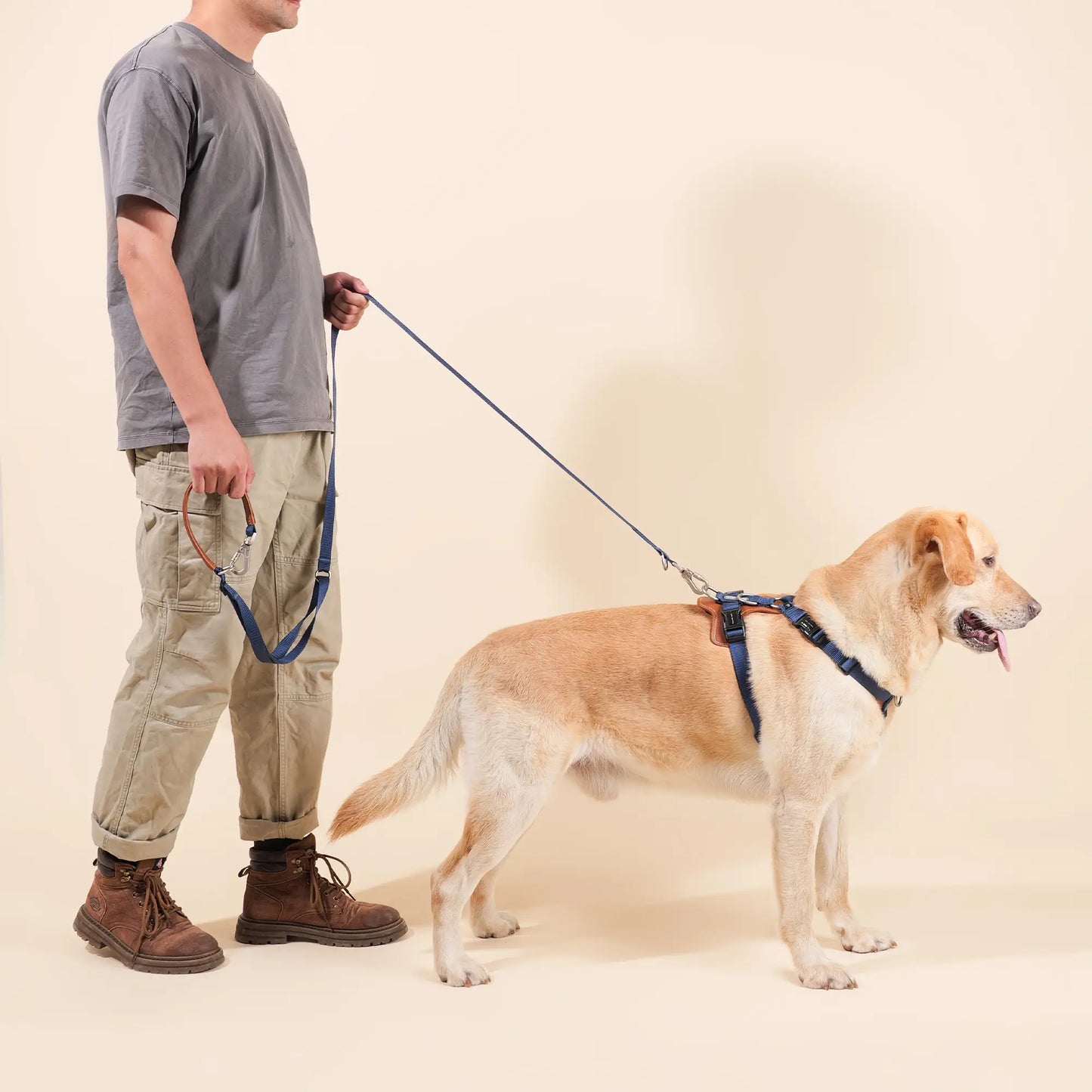 Hands Free Dog Harness Walk Kit