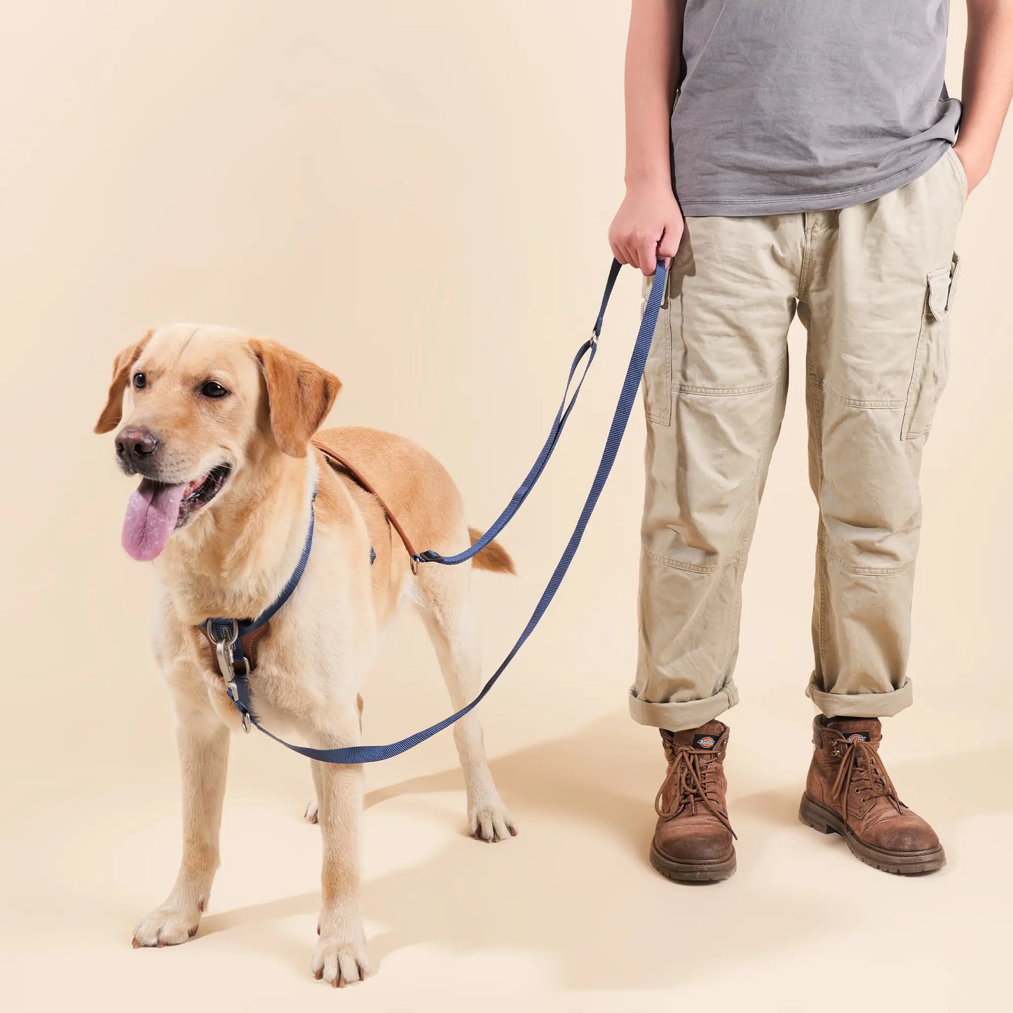 Hands Free Dog Harness Walk Kit