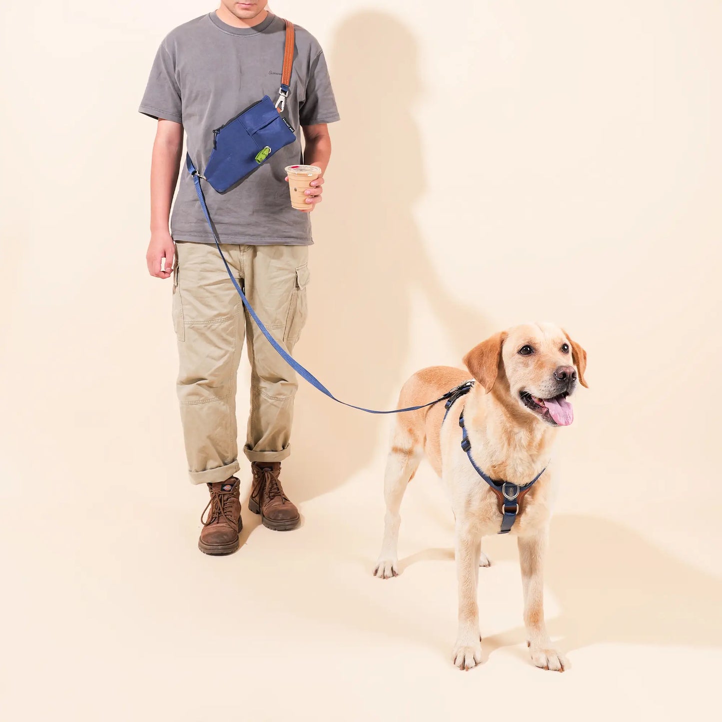 Hands Free Dog Harness Walk Kit