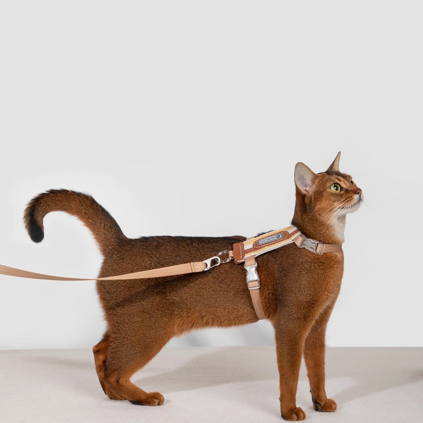 Striped Cat  Harness & Leash Set