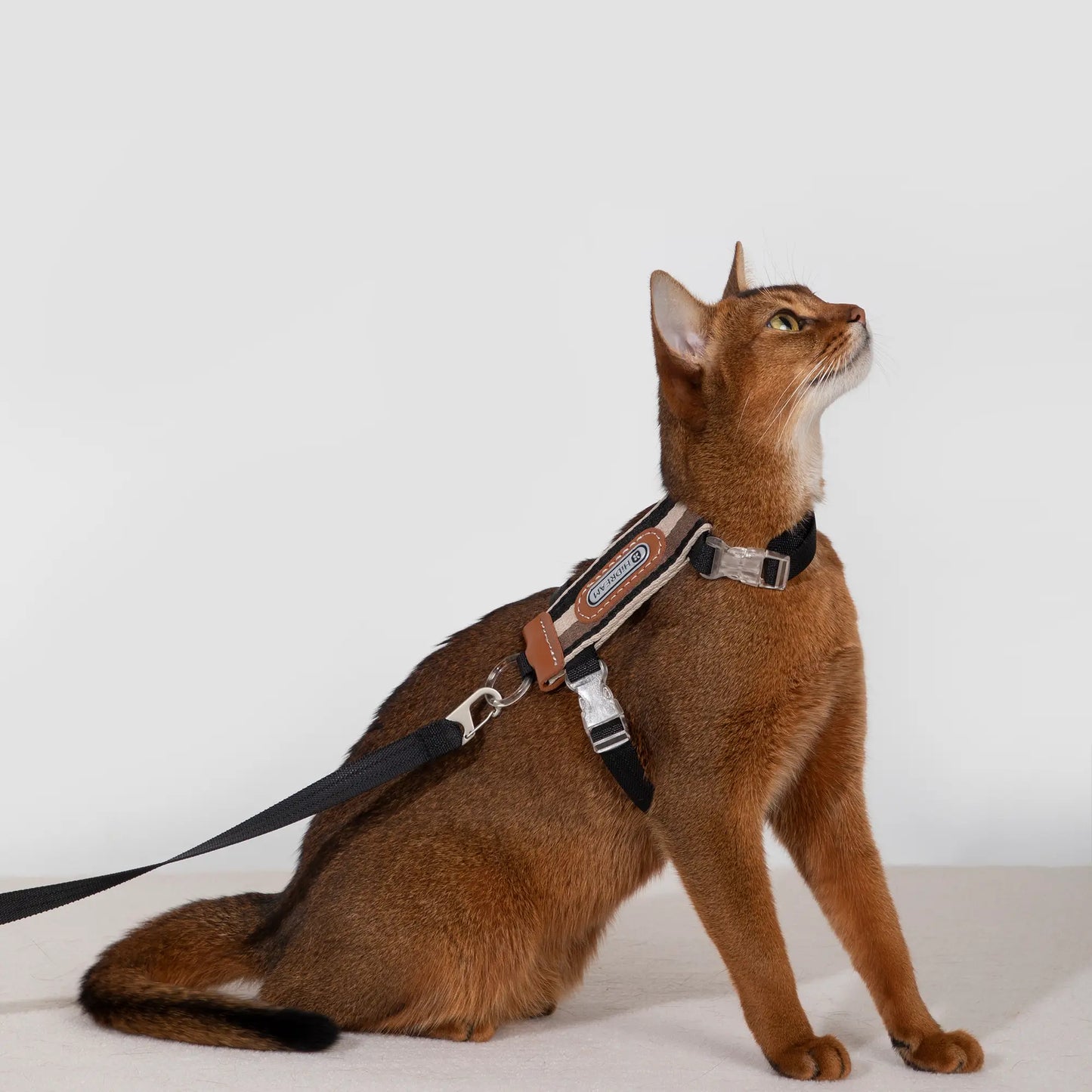 Striped Cat  Harness & Leash Set