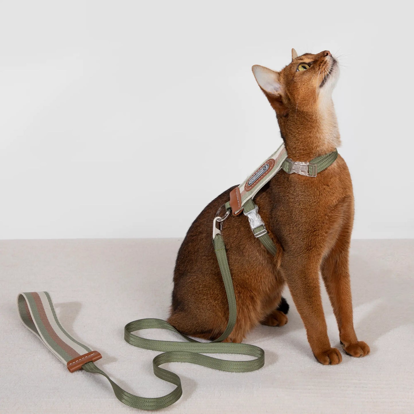 Striped Cat  Harness & Leash Set