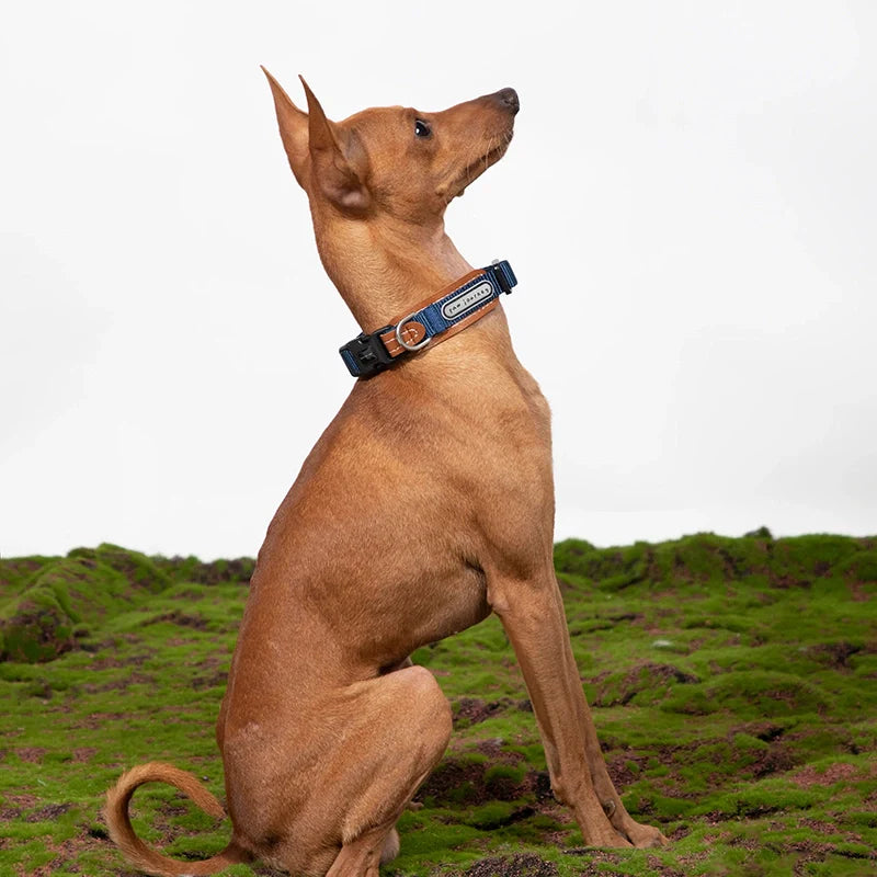 Leather-Stitched Dog Collar