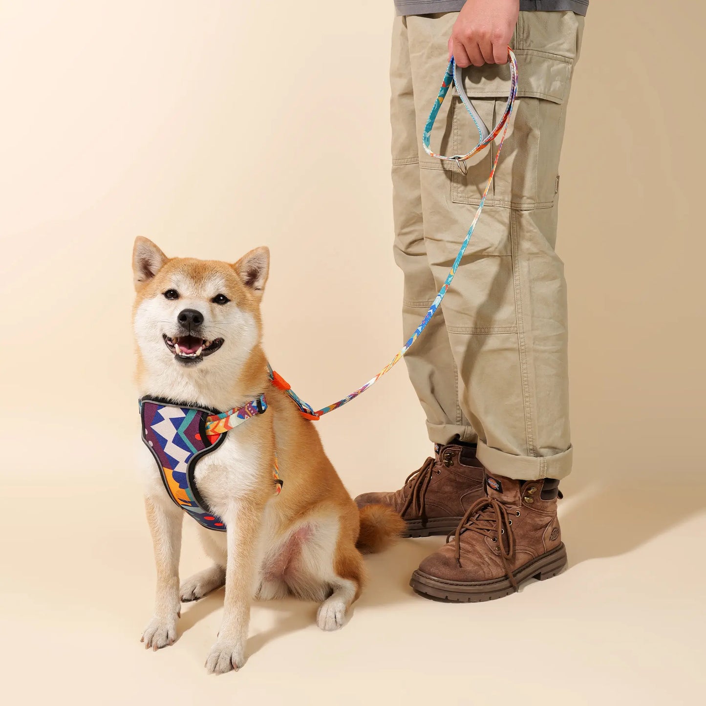 Adjustable Color-Blocked Dog Leashes