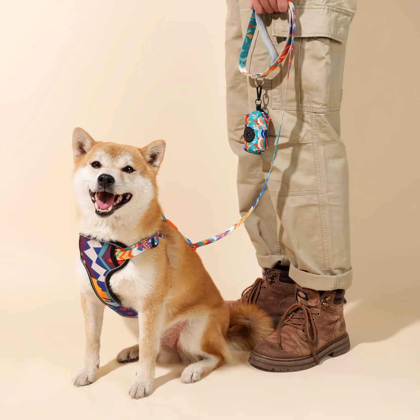 Adjustable Color-Blocked Dog Leashes