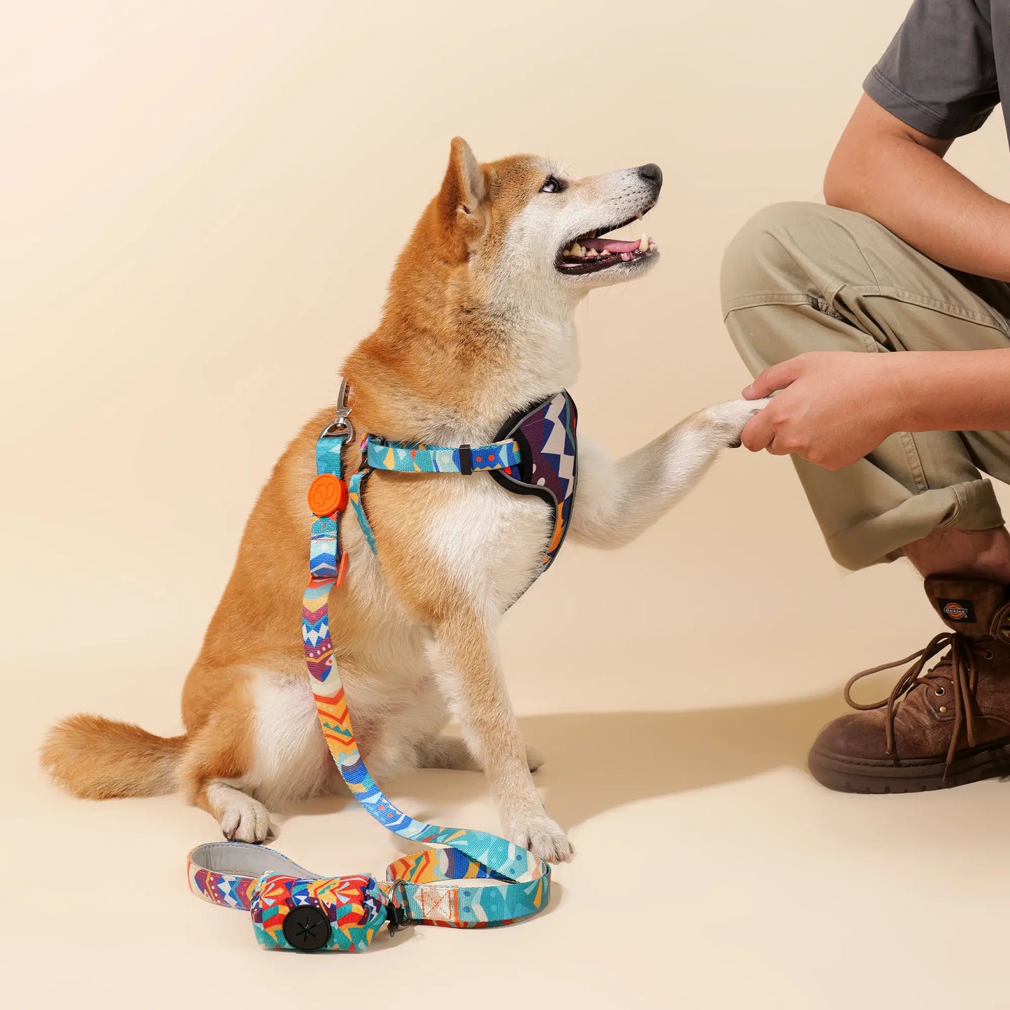 Adjustable Color-Blocked Dog Harness & Leash Kit