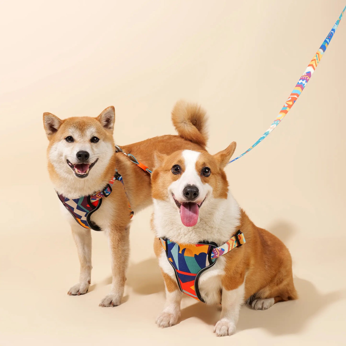 Adjustable Color-Blocked Pet Walk Kits