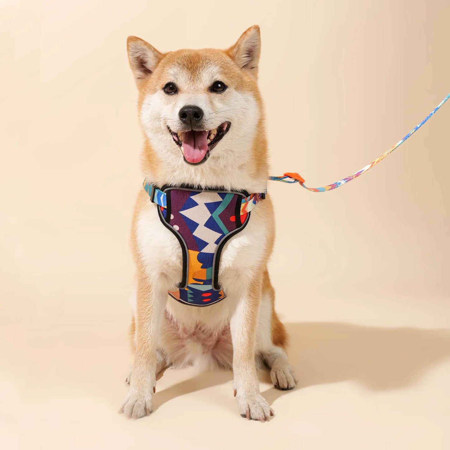 Adjustable Color-Blocked Dog Harness & Leash Kit