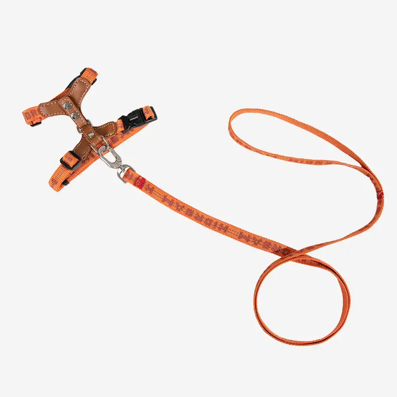 Adjustable Cat Harness & Leash Kit