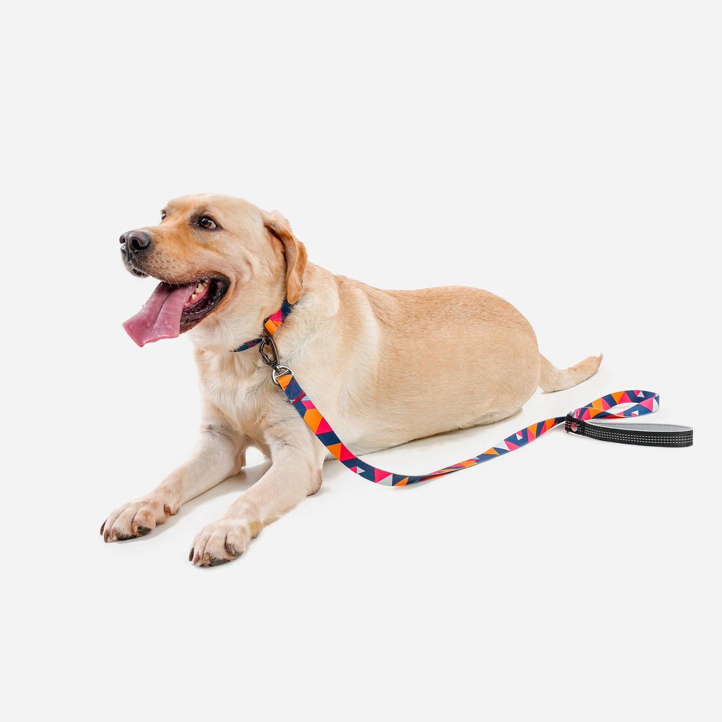 ColorfulPlaid  Dog Collar & Leash Kits-Reflective