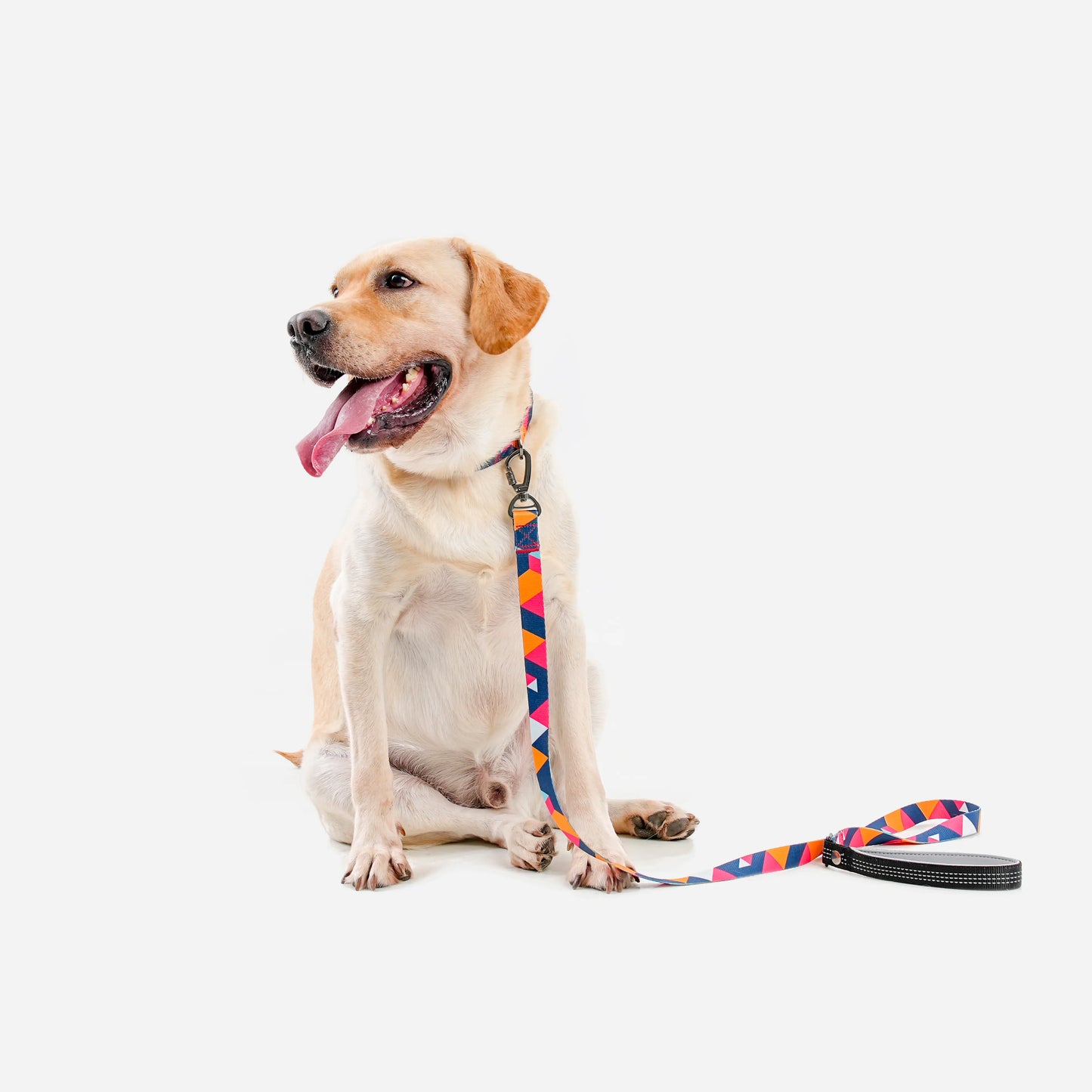 ColorfulPlaid Dog Leash-Reflective