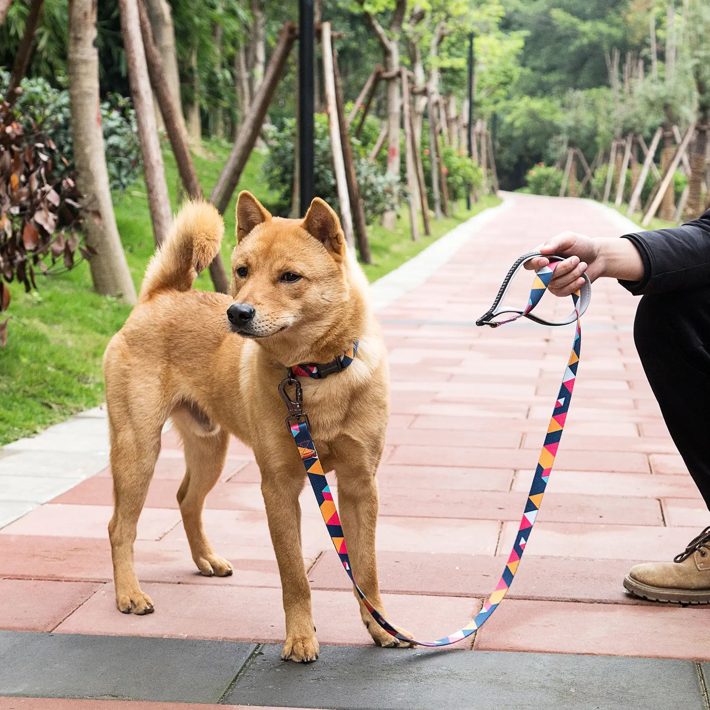 ColorfulPlaid  Dog Collar & Leash Kits-Reflective