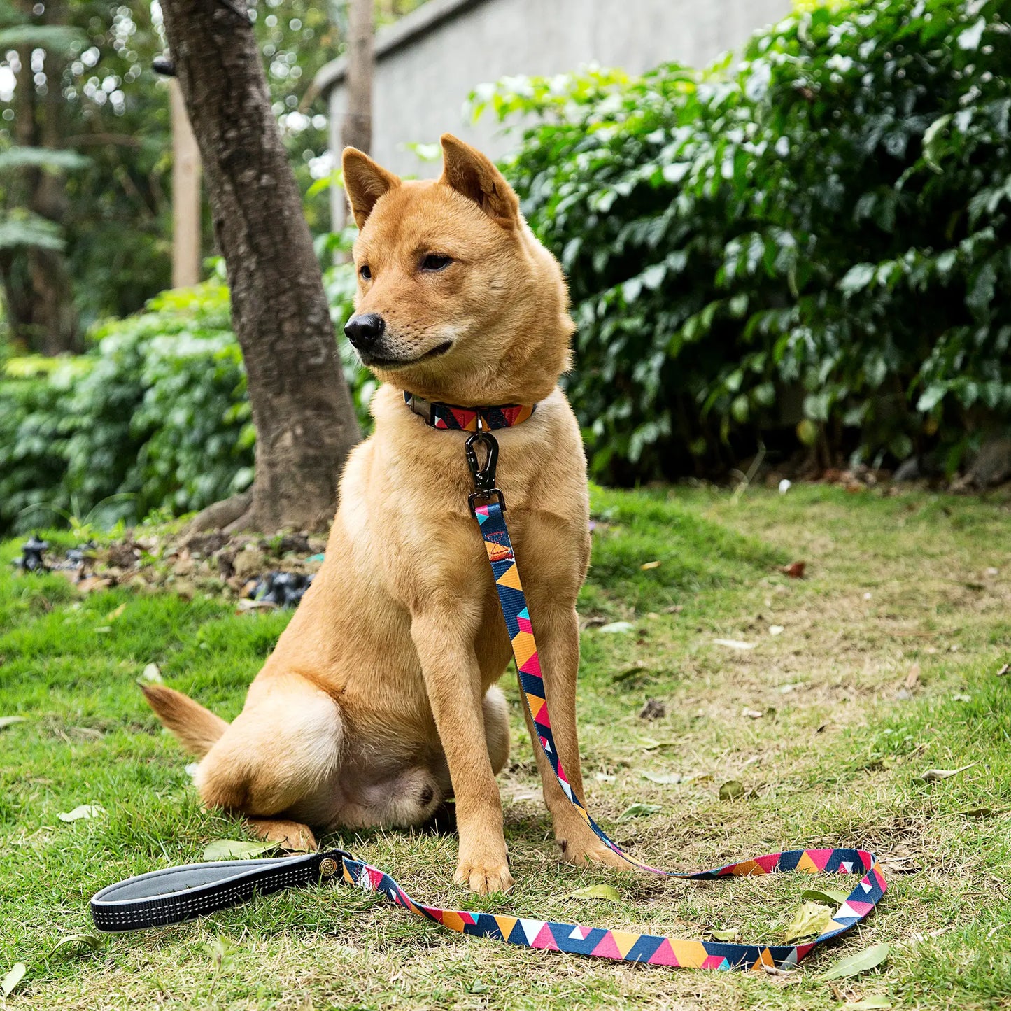 ColorfulPlaid  Dog Collar & Leash Kits-Reflective